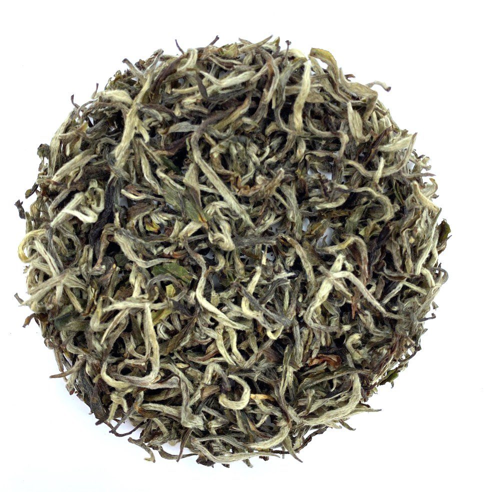 WT05AL Himalayan Snow Mountain