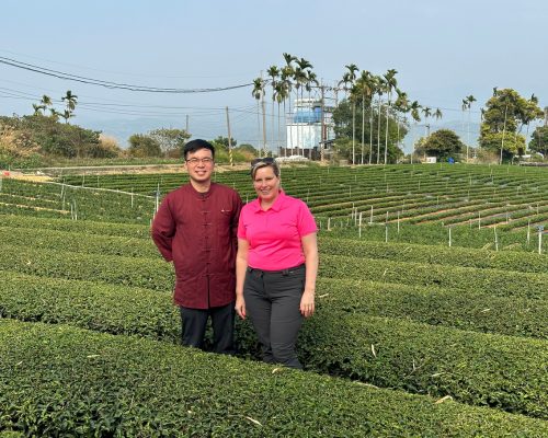 Theereis naar Taiwan: Nantou